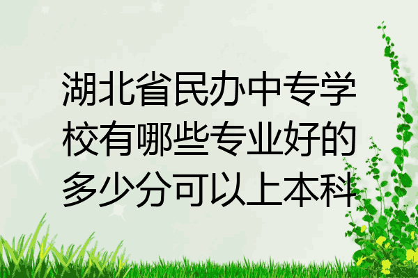 湖北省民办中专学校有哪些专业好的多少分可以上本科