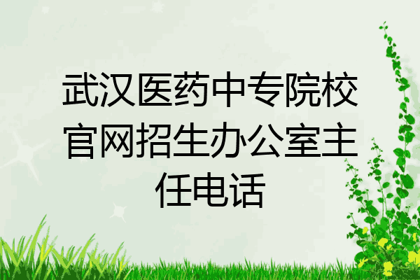 武汉医药中专院校官网招生办公室主任电话