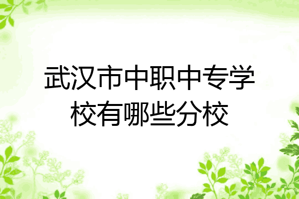 武汉市中职中专学校有哪些分校