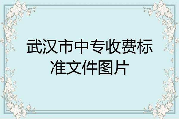 武汉市中专收费标准文件图片