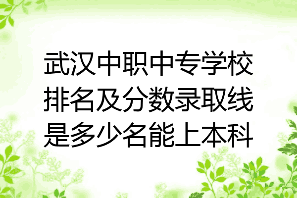 武汉中职中专学校排名及分数录取线是多少名能上本科