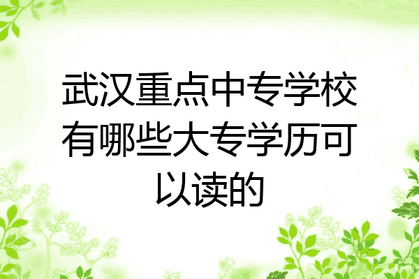 武汉重点中专学校有哪些大专学历可以读的