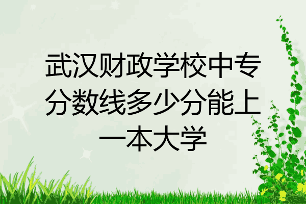 武汉财政学校中专分数线多少分能上一本大学