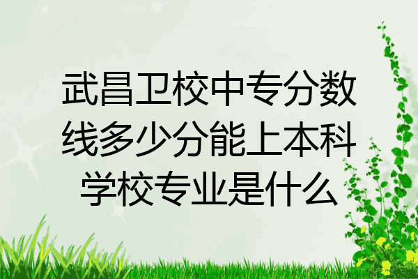 武昌卫校中专分数线多少分能上本科学校专业是什么
