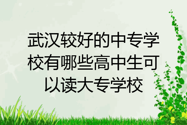 武汉较好的中专学校有哪些高中生可以读大专学校