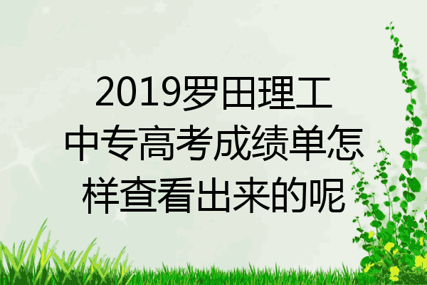 2019罗田理工中专高考成绩单怎样查看出来的呢