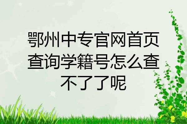 鄂州中专官网首页查询学籍号怎么查不了了呢