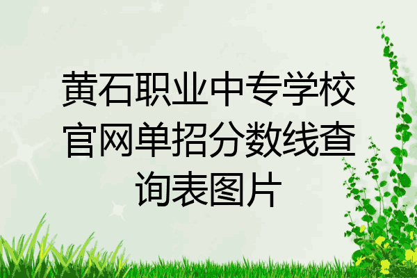 黄石职业中专学校官网单招分数线查询表图片