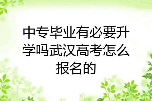 中专毕业有必要升学吗武汉高考怎么报名的