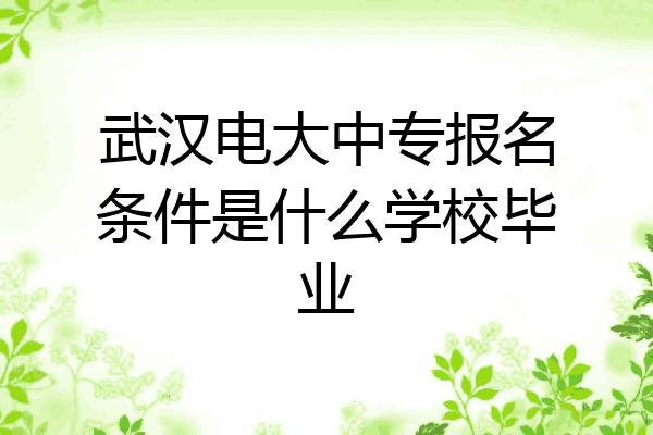 武汉电大中专报名条件是什么学校毕业