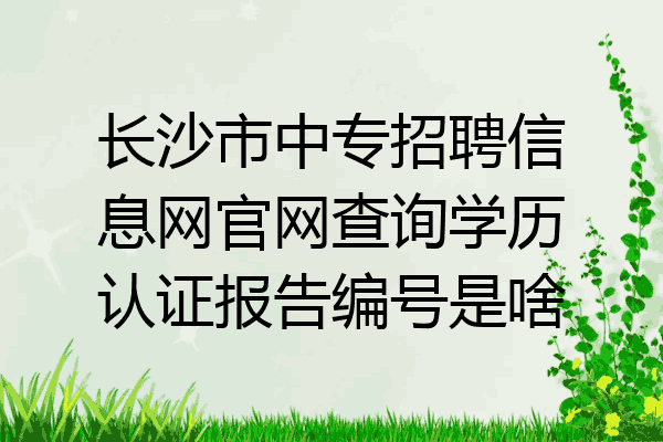 长沙市中专招聘信息网官网查询学历认证报告编号是啥