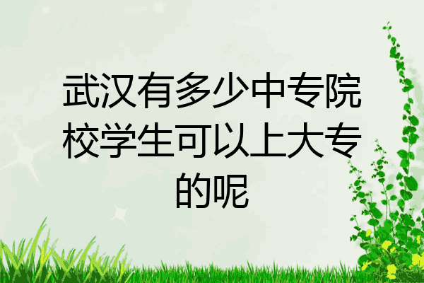 武汉有多少中专院校学生可以上大专的呢