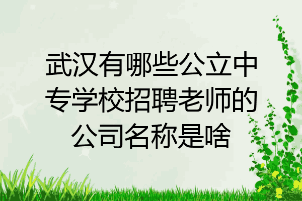 武汉有哪些公立中专学校招聘老师的公司名称是啥