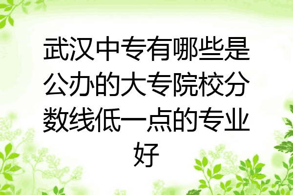 武汉中专有哪些是公办的大专院校分数线低一点的专业好