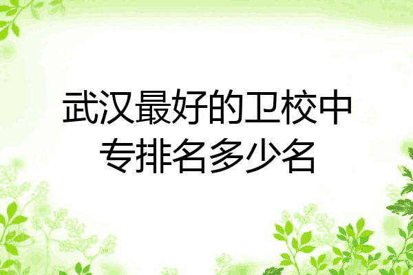 武汉最好的卫校中专排名多少名