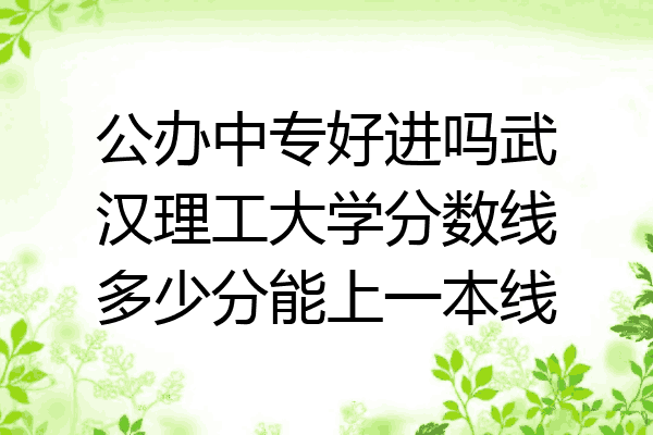公办中专好进吗武汉理工大学分数线多少分能上一本线