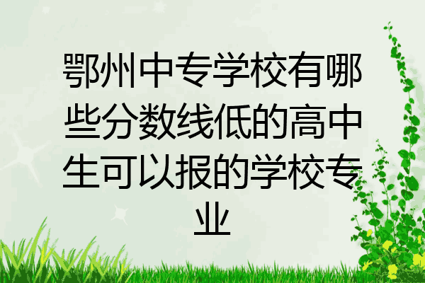 鄂州中专学校有哪些分数线低的高中生可以报的学校专业