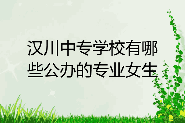 汉川中专学校有哪些公办的专业女生