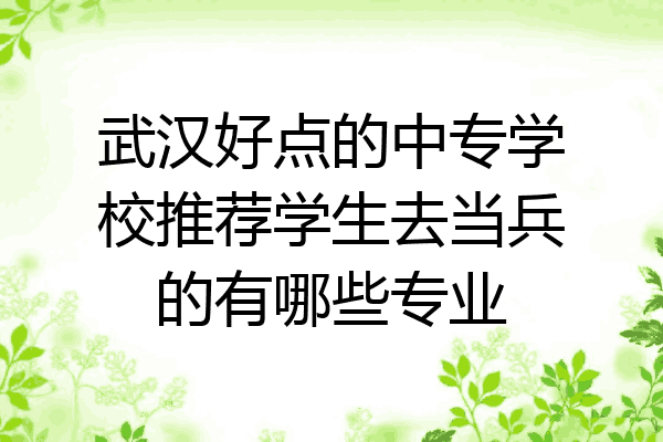 武汉好点的中专学校推荐学生去当兵的有哪些专业