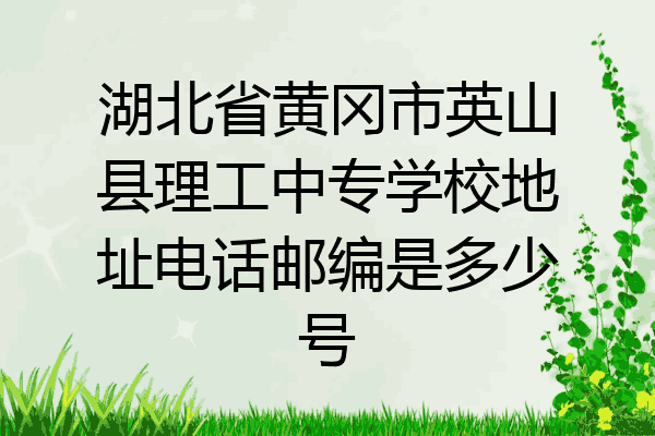 湖北省黄冈市英山县理工中专学校地址电话邮编是多少号