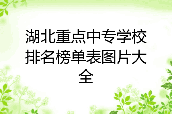 湖北重点中专学校排名榜单表图片大全