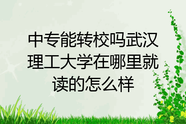 中专能转校吗武汉理工大学在哪里就读的怎么样