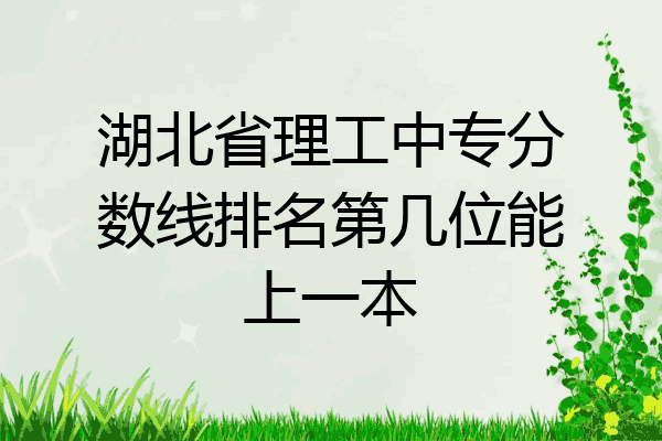 湖北省理工中专分数线排名第几位能上一本