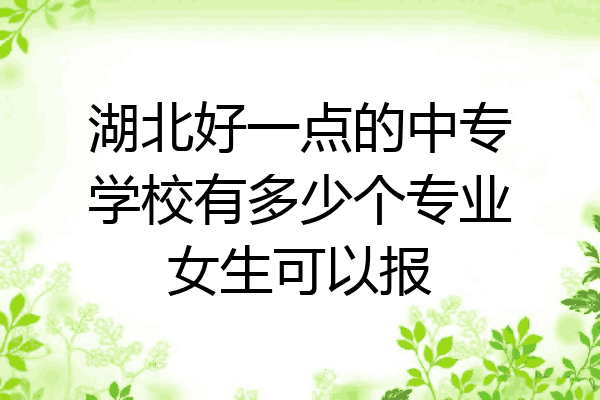 湖北好一点的中专学校有多少个专业女生可以报
