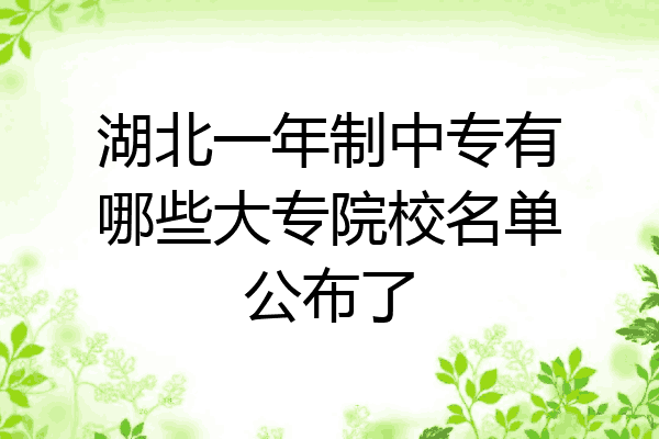 湖北一年制中专有哪些大专院校名单公布了