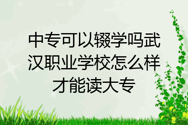 中专可以辍学吗武汉职业学校怎么样才能读大专