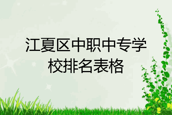 江夏区中职中专学校排名表格
