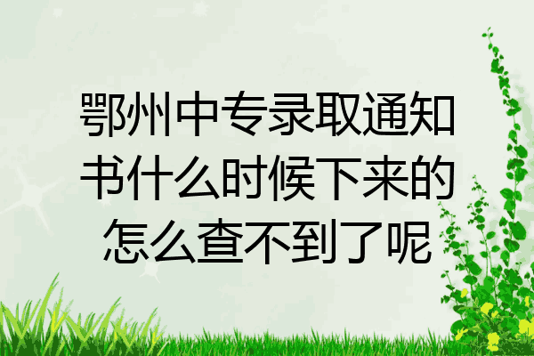 鄂州中专录取通知书什么时候下来的怎么查不到了呢