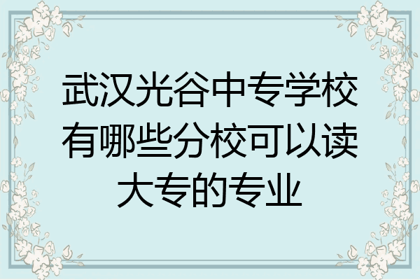 武汉光谷中专学校有哪些分校可以读大专的专业