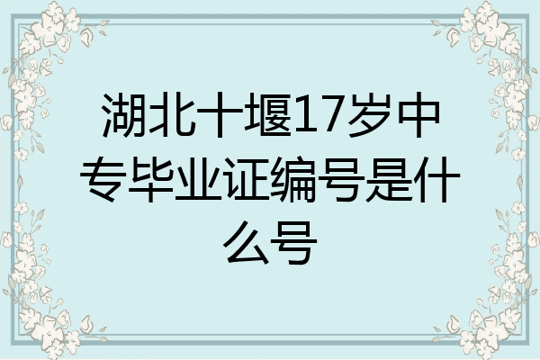 湖北十堰17岁中专毕业证编号是什么号