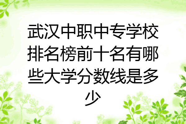 武汉中职中专学校排名榜前十名有哪些大学分数线是多少