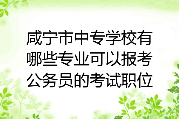 咸宁市中专学校有哪些专业可以报考公务员的考试职位