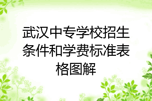 武汉中专学校招生条件和学费标准表格图解