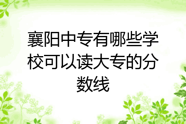 襄阳中专有哪些学校可以读大专的分数线