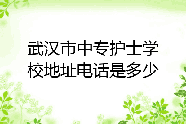 武汉市中专护士学校地址电话是多少