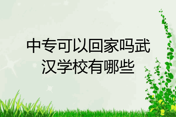 中专可以回家吗武汉学校有哪些