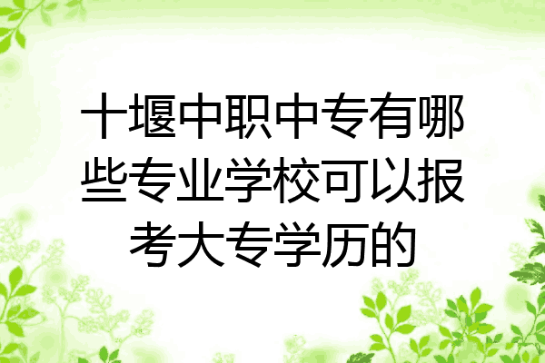 十堰中职中专有哪些专业学校可以报考大专学历的