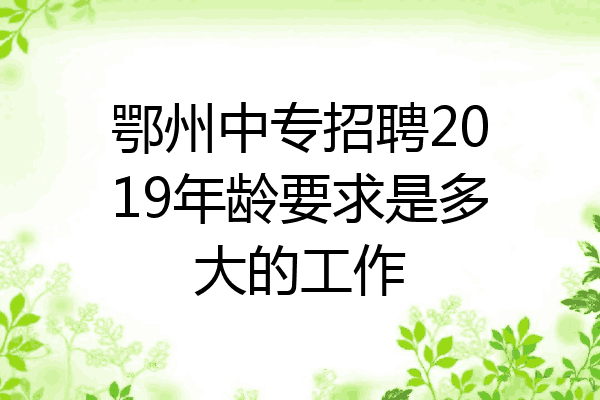 鄂州中专招聘2019年龄要求是多大的工作