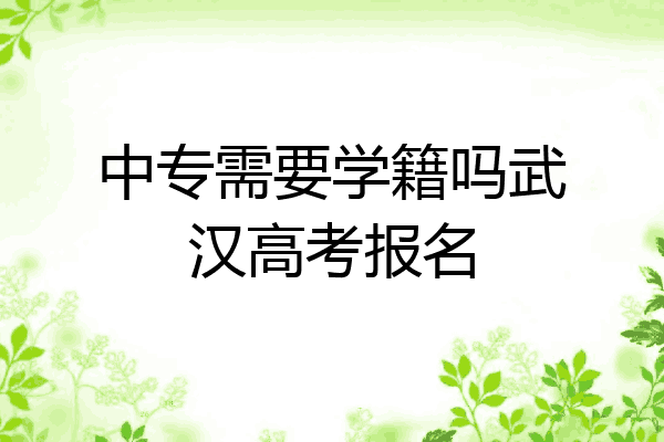 中专需要学籍吗武汉高考报名