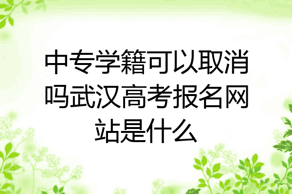 中专学籍可以取消吗武汉高考报名网站是什么