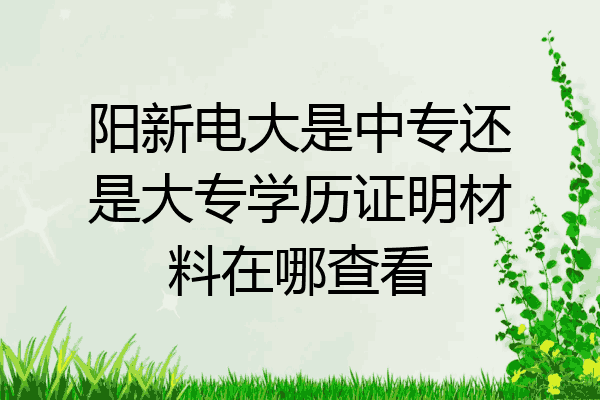 阳新电大是中专还是大专学历证明材料在哪查看