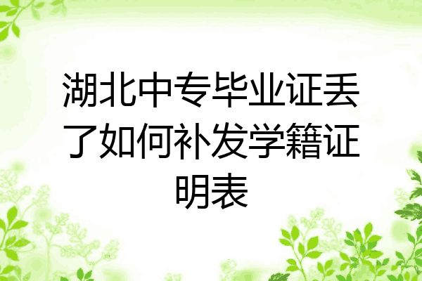 湖北中专毕业证丢了如何补发学籍证明表