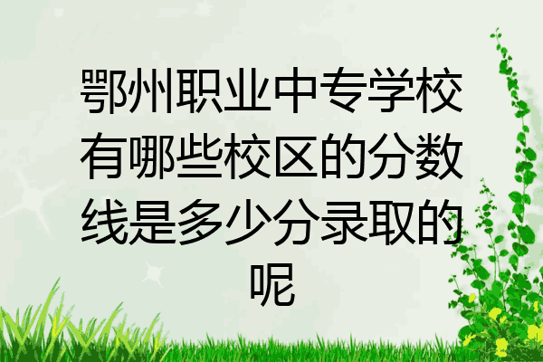 鄂州职业中专学校有哪些校区的分数线是多少分录取的呢