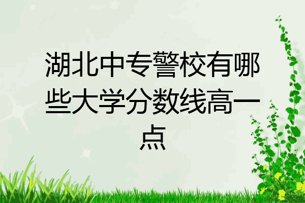 湖北中专警校有哪些大学分数线高一点