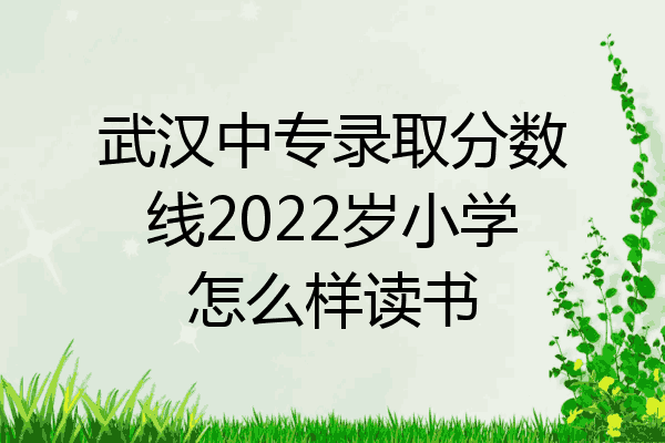 武汉中专录取分数线2022岁小学怎么样读书