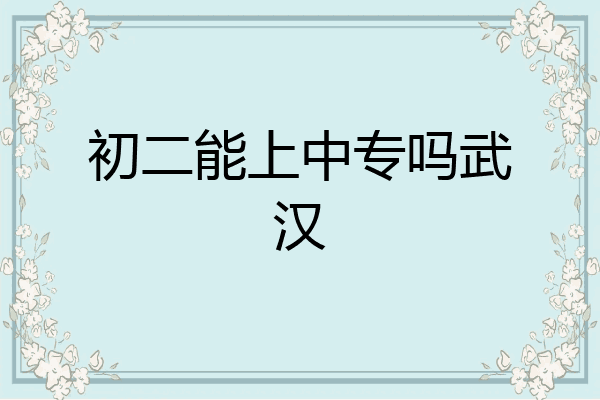 初二能上中专吗武汉